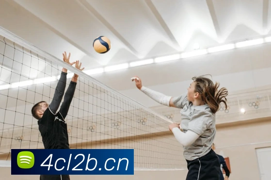 乐鱼官网手机网页版服务体系